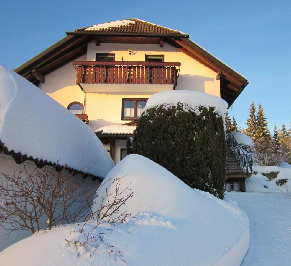 Ferienwohnung Haus Finkbeiner Kniebis Exterior photo